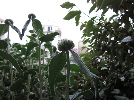 20110414 183152